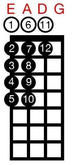 Once this scale reaches the 11th fret, the E Chromatic Scale will start again from the 12th fret.