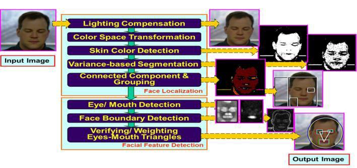 Facial trait classification: The classification of faces by color, gender, civilization, age, appearance and other character.