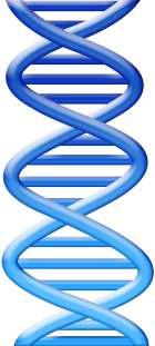Recombinant DNA technology, central to the biotechnology