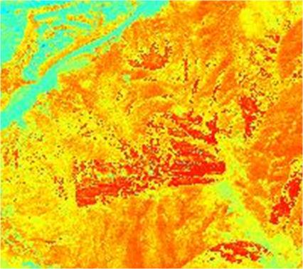 Similar result is obtained for Ma On Shan image (Figure 12a and 12b), vegetation under shadow can be extracted, however, the NDVI values differs quite a lot