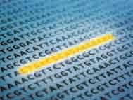 Overview The first draft assembly of the Human Genome Project was announced in 2000.