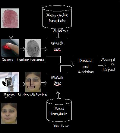 IJSRD - International Journal for Scientific Research & Development Vol. 3, Issue 02, 2015 ISSN (online): 2321-0613 An Introduction to Multimodal Biometric System: An Overview Mamta Ahlawat 1 Dr.