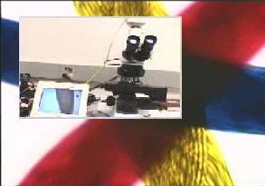1 and 6 - Displays the microscope,