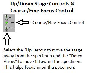 Figure 5: Right/Left & Backward/Forward Stage Controls Figure 6: Up/Down Stage Controls & Coarse/Fine Focus Control Objective: A microscope mounts an objective lens very close to the object to be