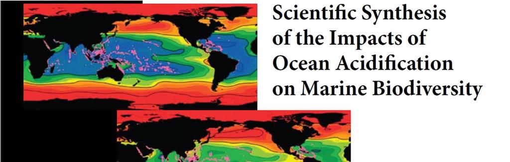 The Impacts of Ocean Acidification on Marine