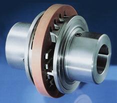 Torque Limiter with Friction Linings RIMOSTAT Torque