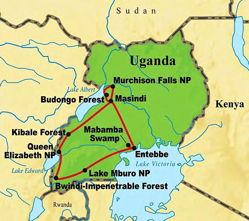 Bwindi-Impenetrable Forests, ranging from mid-altitude central-african rainforest (at Budongo), to the hard-to-reach Afromontane (at Ruhija in the Bwindi-Impenetrable).