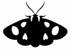 Recognition using CF Moth wings beat at say 40 Hz (25 ms period) Sound reflection only happens