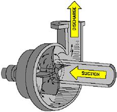 Fabrication of a Centrifugal Pump DISCLAIMER The content of this presentation is for