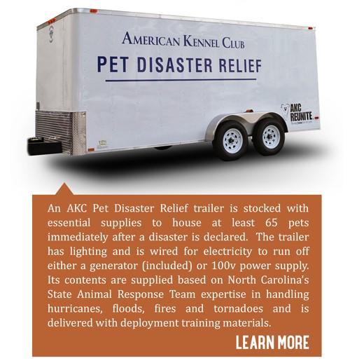 Page 14 The Golden Reporter AKC Pet Disaster Relief is coming to Minnesota What is the AKC Pet Disaster Relief?