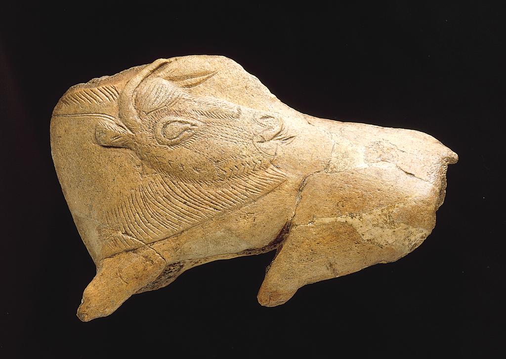 Paleolithic Art Figure 1-8 Bison with turned head, fragmentary spearthrower, from La Madeleine, Dordogne, France, ca. 12,000 BCE. Reindeer horn, approx. 4 long.