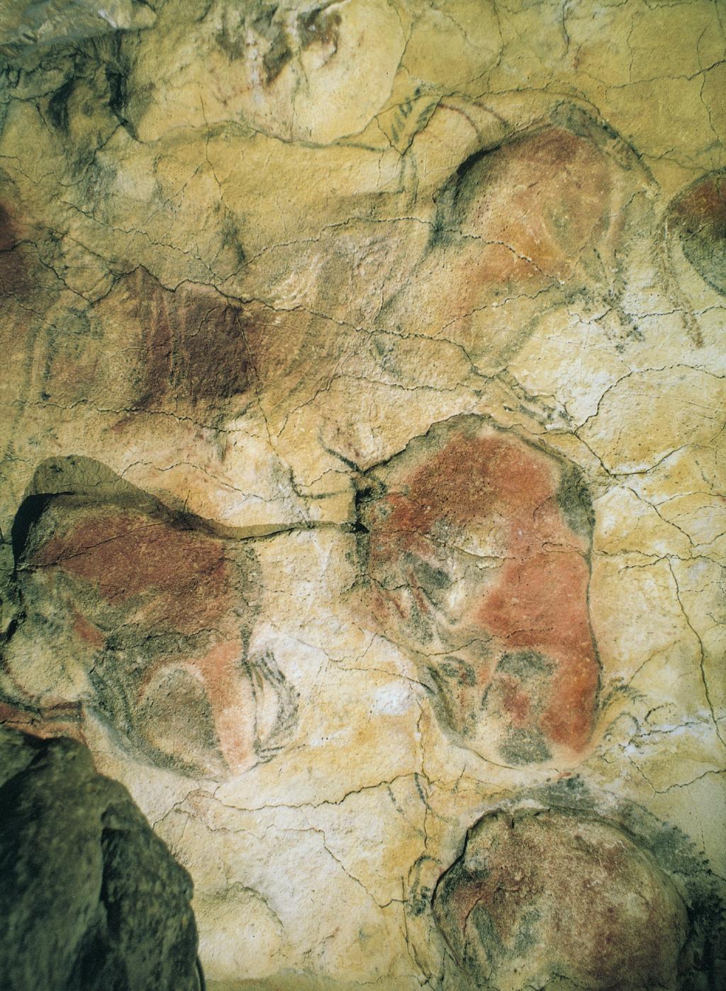 Paleolithic Art Figure 1-9 Bison, detail of a painted ceiling in the Altamira cave, Santander, Spain, ca. 12,000 11,000 BCE. Each bison approx. 5 long.