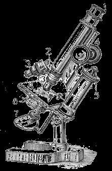 Compound Microscope ( 複合式 ) Upright Microscope ( 正立式 ) 1. Ocular lens or eye-piece 2. Objective turret, or nosepiece ( 鼻輪 / 顯微鏡裝接物鏡的旋座 ) 3.