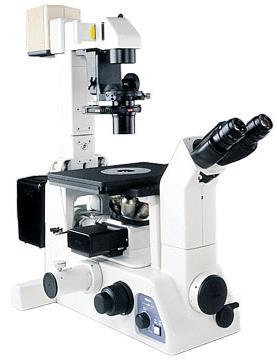 Microscope: TE-2000U, Nikon