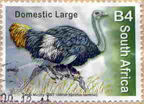 !! In the end a very naïvely drawn bird appears on one of the stamps and adds another one to the list!