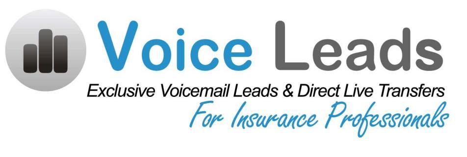 Best Practices when using VoiceLeads As with any lead there are things you should do and not do in order to generate the most success with your marketing dollars.