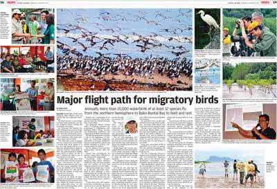 World Migratory Bird Day (WMBD) World Wetlands Day & World