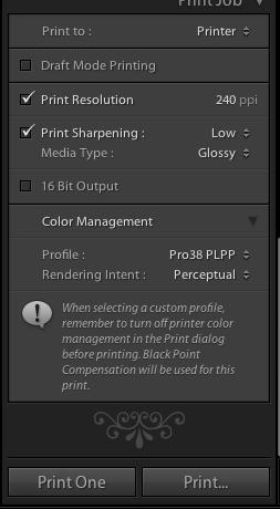 Adobe Lightroom 2 Select Profile and Rendering Intent Print *The easiest way to choose a rendering intent is, (bright colourful