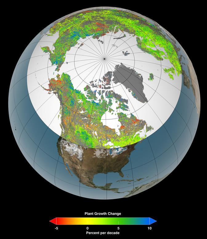 Amplified Greenhouse Effect Shifts North's Growing Seasons Xu et al. 2013. Nature Climate Change. The Northern hemisphere (> 45 N) is greening.