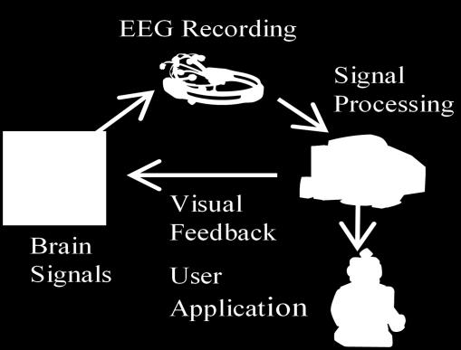 Figure 1: Components of BCI Figure 2: ERD for right hand movement in C3 The right and left hand motor imagery were used for generating the commands for robot by an imagination of the movement.