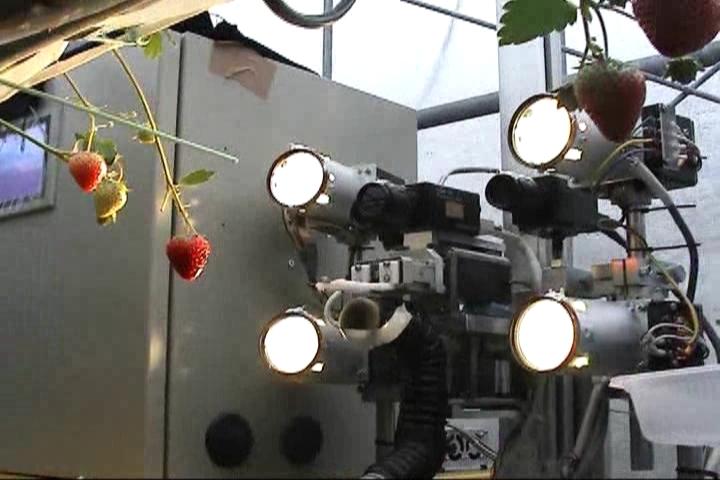 A New Challenge of Robot for Harvesting Strawberry