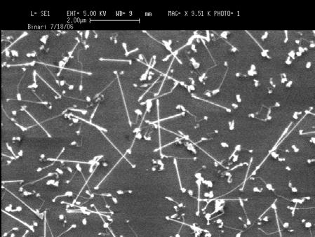 No metal catalyst was used for the growth of the ZnO nanowires. Finally, Au lines, having 5, 7, 9 and 11nm thick, with 186nm spacing, were produced by e-beam lithography.
