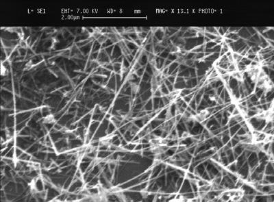 3. GROWTH OF CLOSELY-SPACED PARALLEL ZnO NANOWIRES AND CROSSED Ga O 3 NANOWIRES.
