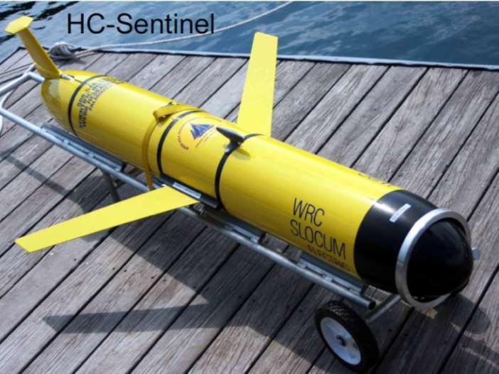 BSEE OSRR - Remote Sensing HC-Sentinel: AUV Glider for High Endurance Subsea Hydrocarbon Detection BSEE OSRR #1041 Woods Hole Oceanographic