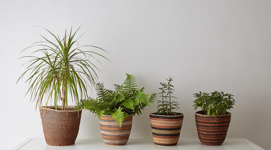 colour palette for this collection of baskets and planters is organic and earthy.