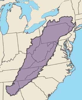 APE The Appalachian Mountains Joint Venture encompasses some of the largest expanses of deciduous forest remaining in the eastern U.S.
