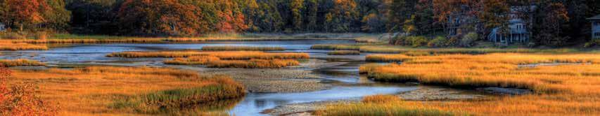 ATLANTIC COAST BIRD CONSERVATION LANDSCAPE The Atlantic Coast Joint Venture encompasses the entire U.S. portion of the Atlantic Flyway and about one-third of the country s states and human population.