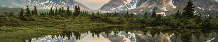 areas, grasslands, shrub-steppe, dry and moist coniferous forests, and alpine tundra. Some of these ecosystems are found nowhere else in Canada.