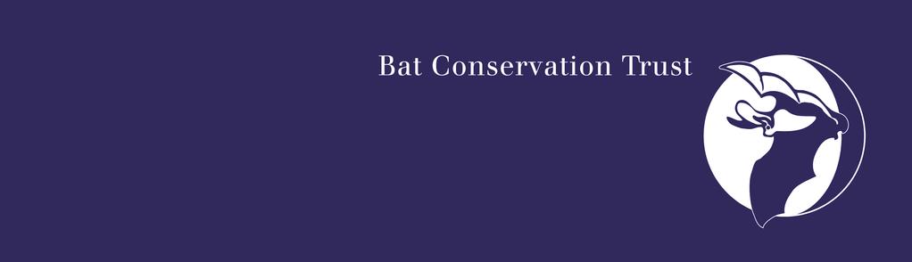 Although all bats have been legally protected since 1981, sadly our bat populations declined dramatically in the last century.