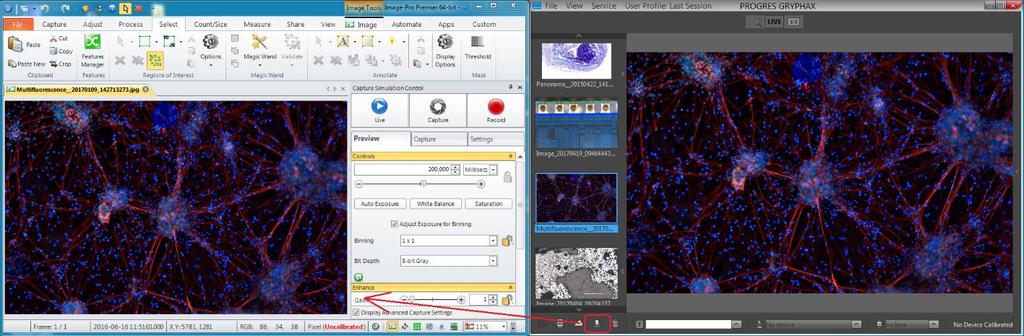 Overview: Image from GRYPHAX directly transferred to 3 rd Party software e.g. ImagePro Premier (Media Cybernetics) General description: The Image analysis function is part of the Gallery bar.