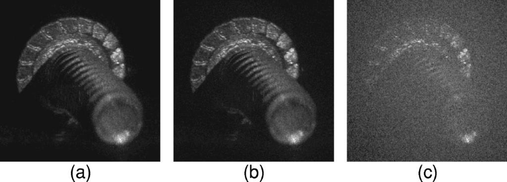 Fig. 5 Decrypted and reconstructed bolt object (with 5 5 pixel mean filtering) from an encrypted digital hologram with the following resolution in each real and imaginary value: (a) 4 bits, (b) 3