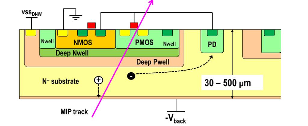 Bipolar Transistors can be Completely Suppressed by Introducing an Extra Deep Nwell Implant vss