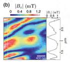 (CFM) and atomic force microscope (AFM) AFM: Akiyama probe (quartz tuning fork combined with a mircomachined cantilever) CFM: attocfm I external optics head and low temperature apochromatic optically