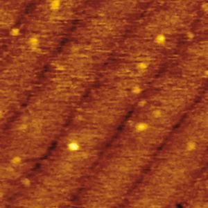 (a)-(b) images obtained in M-PI mode on a lamellar surface of C 36 H 74 adsorbate on graphite, respectively, in the low- and high-force operations.