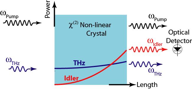 Optical Detection of THz: