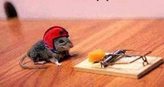 So What is Commercialization If not a better mousetrap.