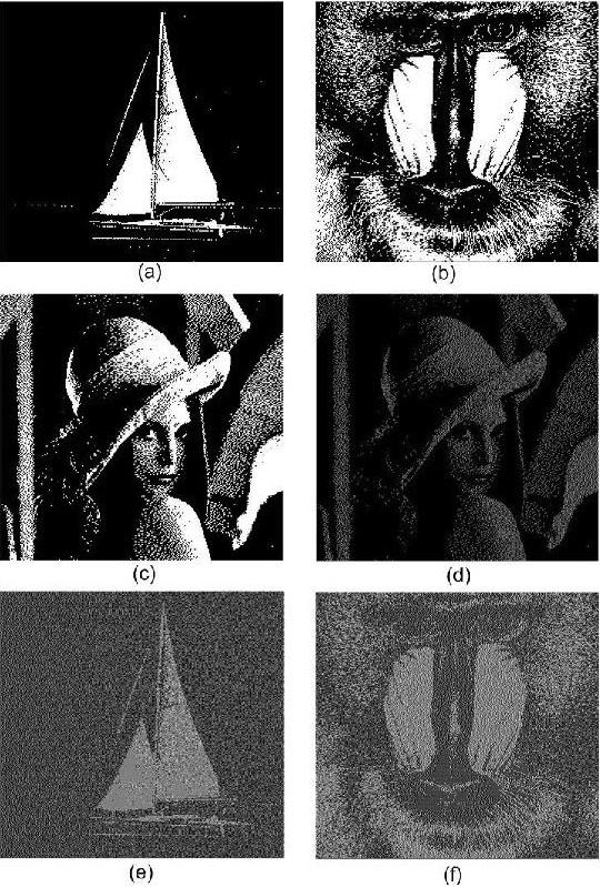 images as inputs. The first two images are considered to be meaningful cover images and the third image is the secret image.