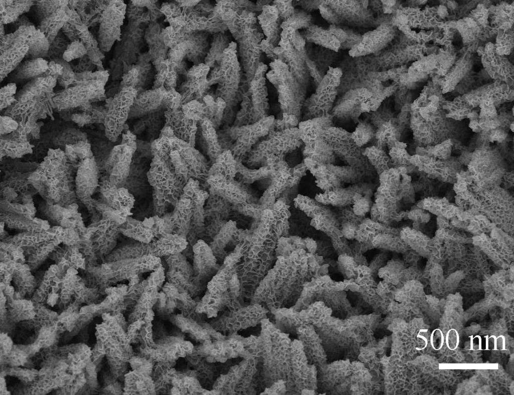 Figure S13 SEM image of /NiO core/shell nanowire array
