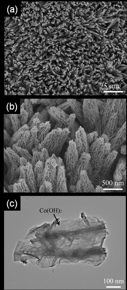Figure S14 /Co(OH) 2 core/shell nanowire