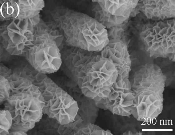 nanowire arrays