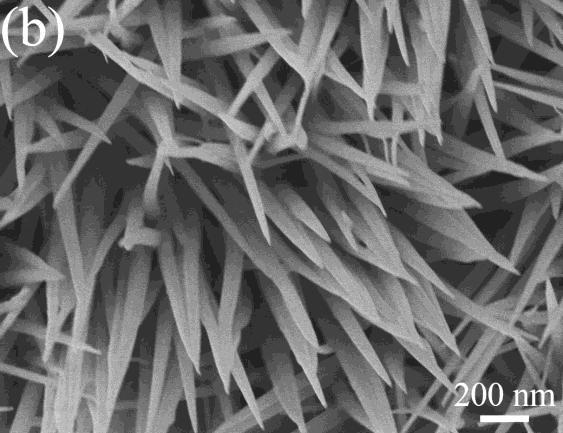 nanostructures.