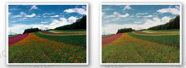 landscape photo printing with