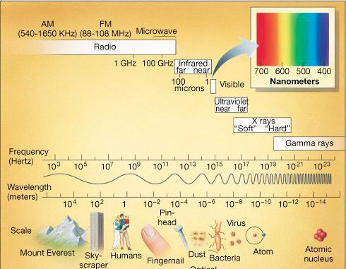 The Electromagnetic Spectrum Gamma Rays X-rays Ultraviolet Light Visible Light (ROY G BIV) Infrared Light Microwaves & Radio Waves Wavelength and Frequency Light vs.