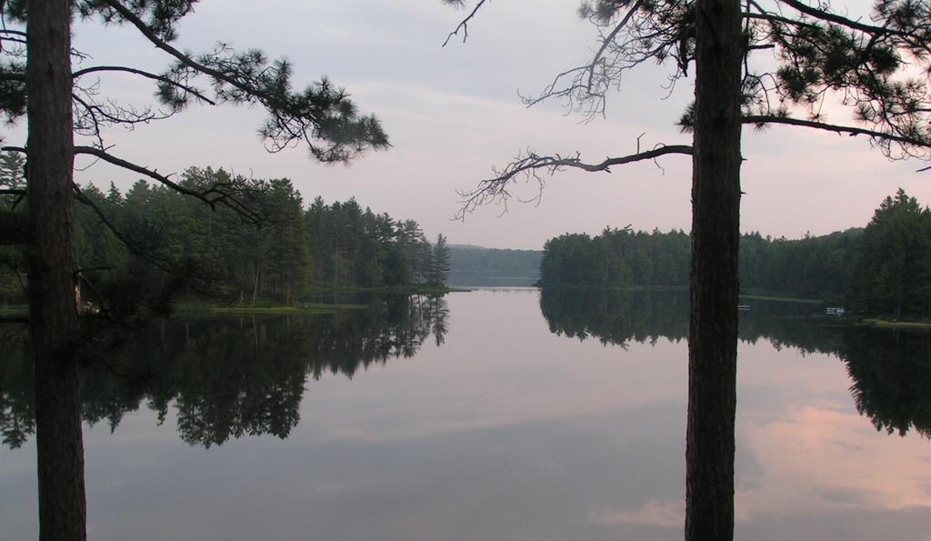 A view of Long Pond.