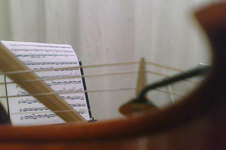 3 Bow Inclination: Approximate Amount of Hairs on the String The pictures taken allow a visually estimate on the amount of bow hairs used during playing (see Fig. 3).