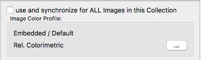 Synchronize The use and synchronize for ALL images in this Collection checkbox is active at program start. The default setting for Image Color Profile is Embedded.